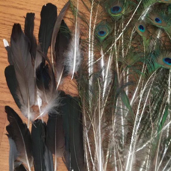 LOT 140 NATURAL PEACOCK BIRD FEATHER BOHO FESTIVAL CRAFT ART HOBBY COSTUME DECOR - Picture 4 of 16